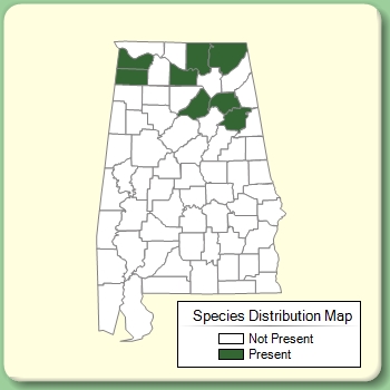 Species Distribution Map