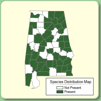 Species Distribution Map