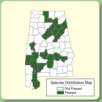 Species Distribution Map