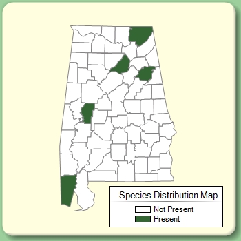 Species Distribution Map