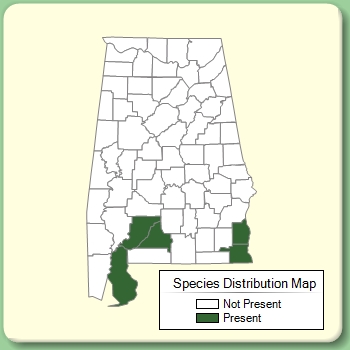 Species Distribution Map