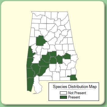 Species Distribution Map