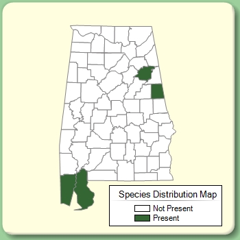 Species Distribution Map