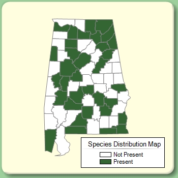 Species Distribution Map