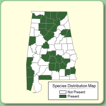 Species Distribution Map