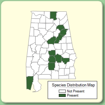 Species Distribution Map