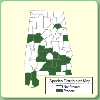 Species Distribution Map