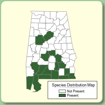 Species Distribution Map