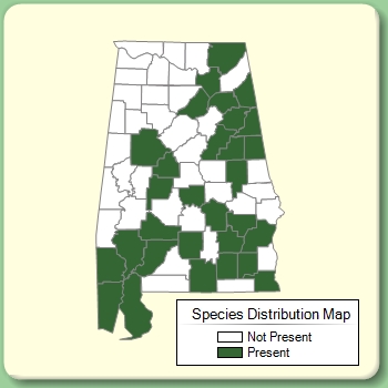 Species Distribution Map