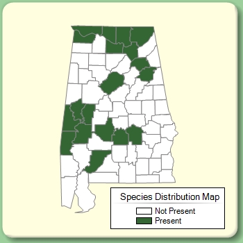 Species Distribution Map