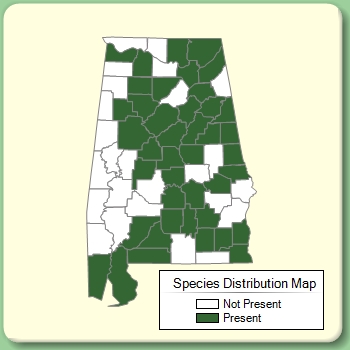 Species Distribution Map