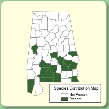 Species Distribution Map