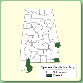 Species Distribution Map