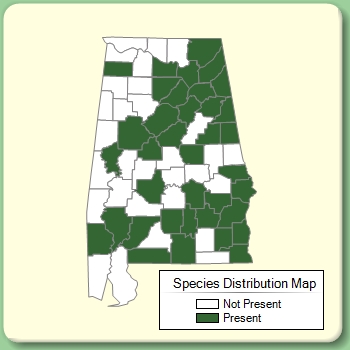 Species Distribution Map