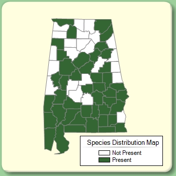 Species Distribution Map