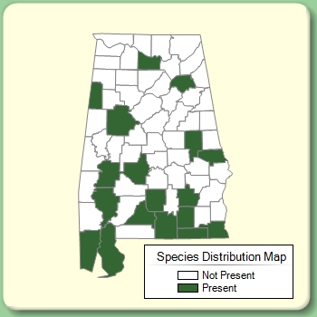 Species Distribution Map