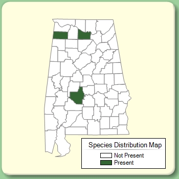 Species Distribution Map