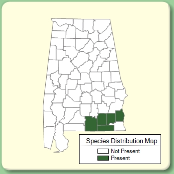 Species Distribution Map