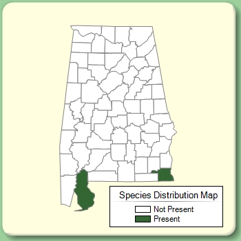 Species Distribution Map