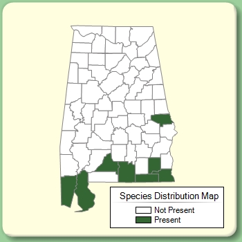 Species Distribution Map