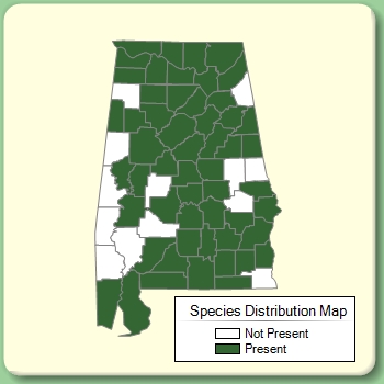 Species Distribution Map