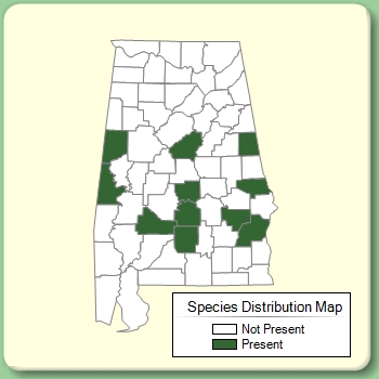 Species Distribution Map