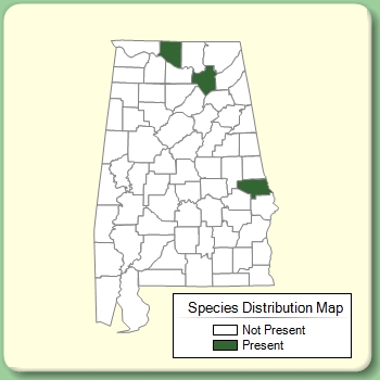 Species Distribution Map