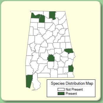 Species Distribution Map