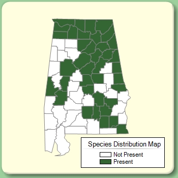 Species Distribution Map