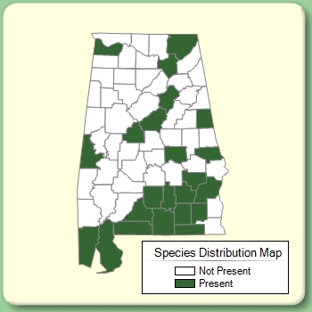 Species Distribution Map