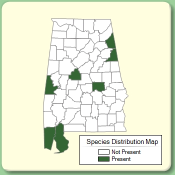 Species Distribution Map