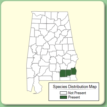 Species Distribution Map