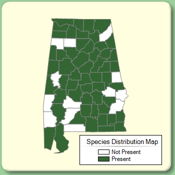 Species Distribution Map