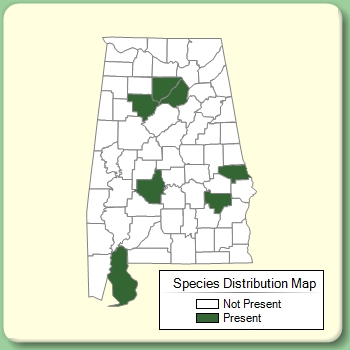 Species Distribution Map