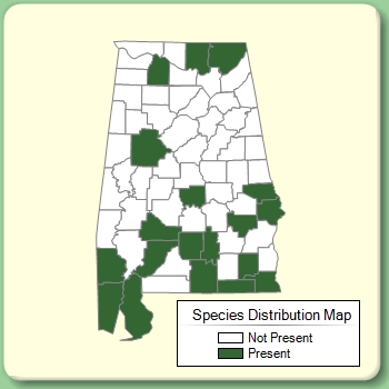 Species Distribution Map