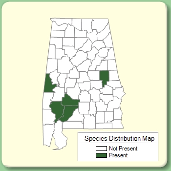 Species Distribution Map