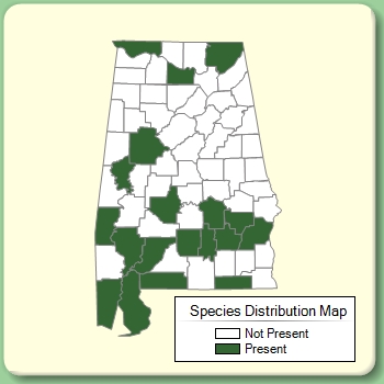 Species Distribution Map