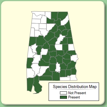 Species Distribution Map