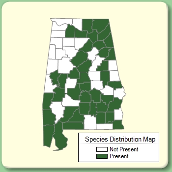 Species Distribution Map