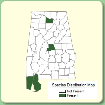 Species Distribution Map