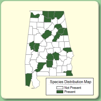 Species Distribution Map