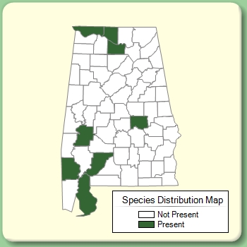 Species Distribution Map