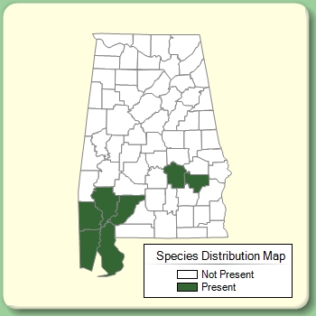 Species Distribution Map