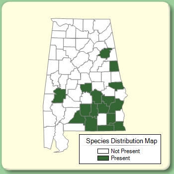 Species Distribution Map