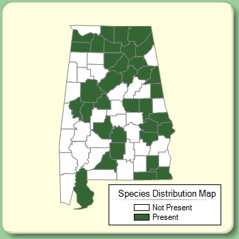 Species Distribution Map