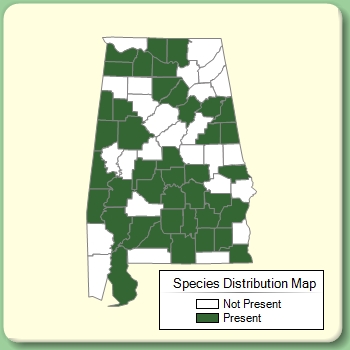 Species Distribution Map