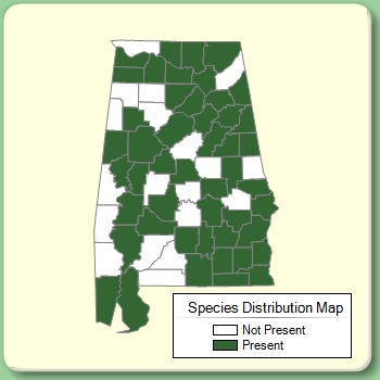 Species Distribution Map