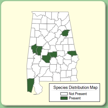 Species Distribution Map