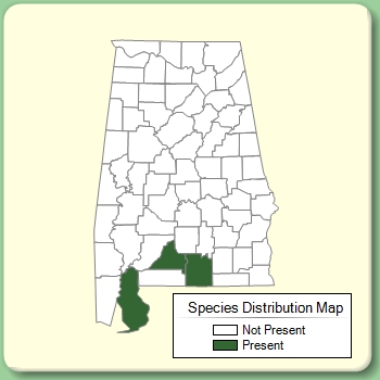 Species Distribution Map