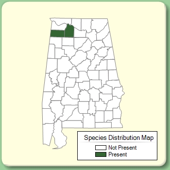 Species Distribution Map